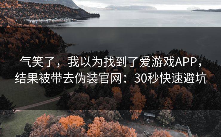 气笑了，我以为找到了爱游戏APP，结果被带去伪装官网：30秒快速避坑