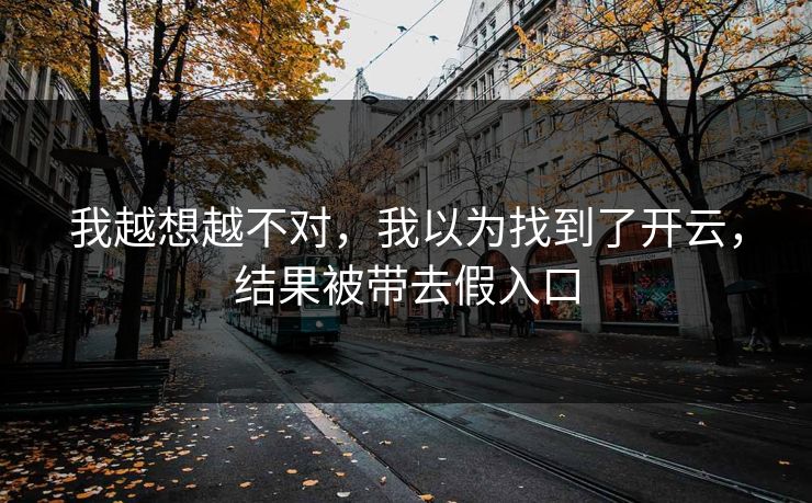 我越想越不对，我以为找到了开云，结果被带去假入口