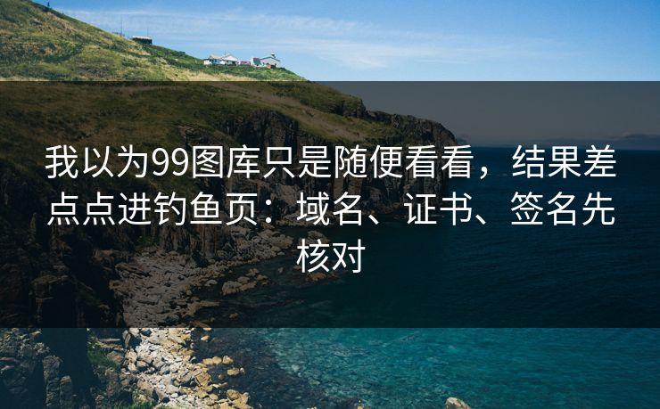 我以为99图库只是随便看看，结果差点点进钓鱼页：域名、证书、签名先核对